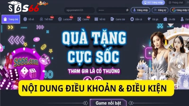 Điều kiện điều khoản S666 com