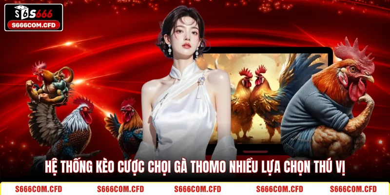 Hệ thống kèo cược chọi gà Thomo nhiều lựa chọn thú vị
