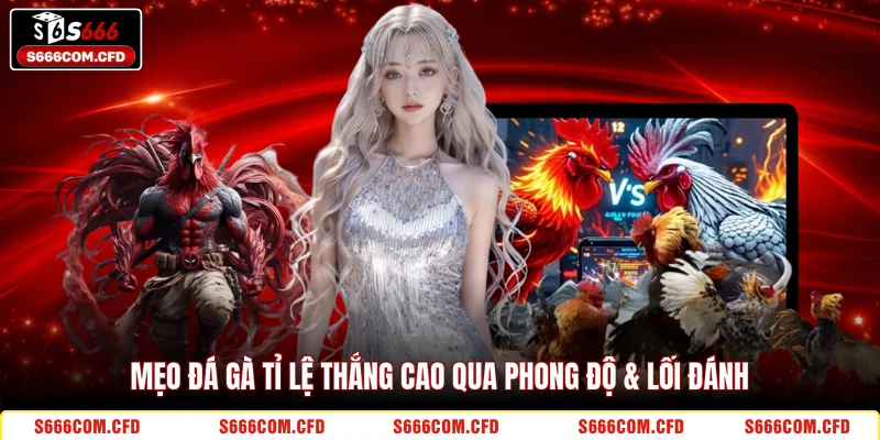 Mẹo đá gà tỉ lệ thắng cao qua phong độ & lối đánh