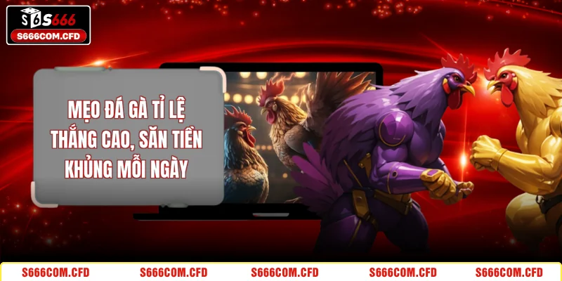 Mẹo Đá Gà Tỉ Lệ Thắng Cao, Săn Tiền Khủng Mỗi Ngày